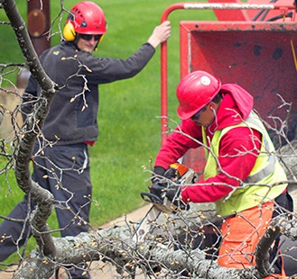 Two DJ's Landscape Management employees in red hard hats providing commercial tree removal services