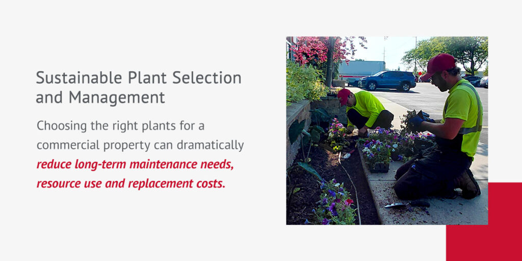 two DJ's Landscape Management employees kneeling on a side walk planting flowers at a commercial property