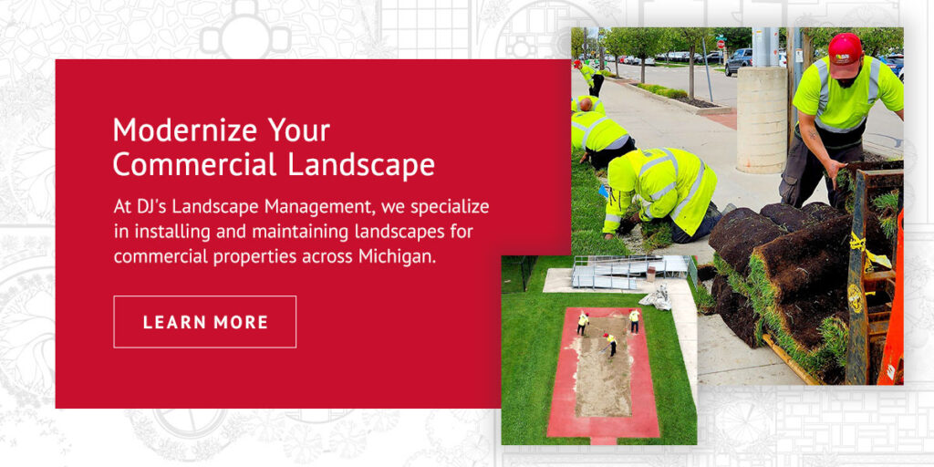 DJ's Landscape Management employees planting grass with a call to action to modernize your commercial landscape with DJ's
