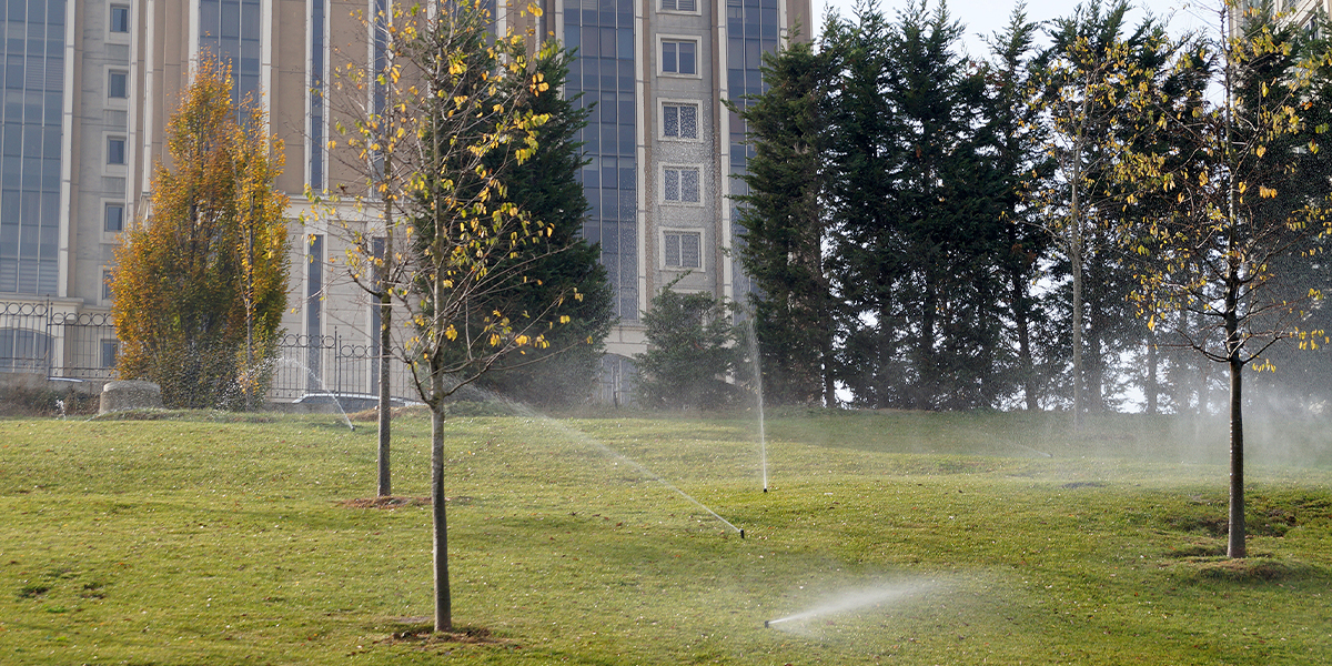 exterior of a building with trees and sprinklers watering grass