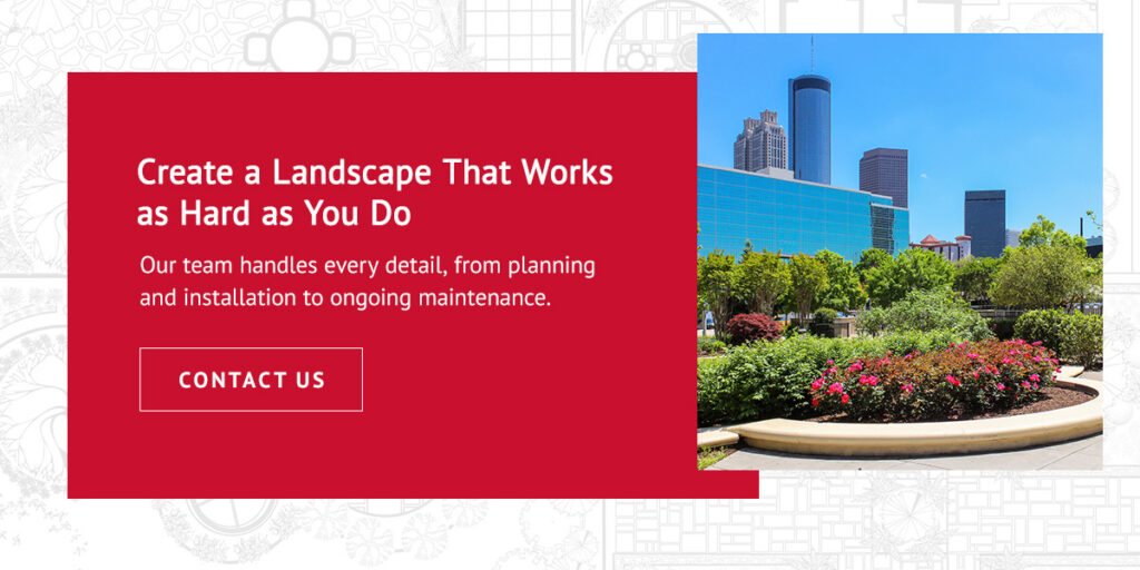 exterior of commercial buildings in a city with plant beds and trees outside and a call-to-action button to contact DJ's